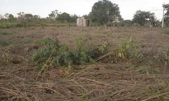 Imagem 2: Sitio no km 17 sentido humaita