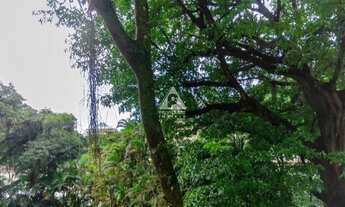 Imagem 4: Excelente apartamento na Gávea voltado para o verde