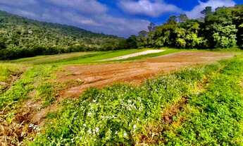 Imagem 2: Terreno próximo à rodovia