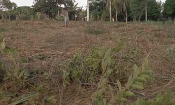 Imagem 4: Sitio no km 17 sentido humaita