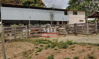 Imagem 5: Chácara 10 alqueires ( 48.4 hectares ) Vianópolis-GO