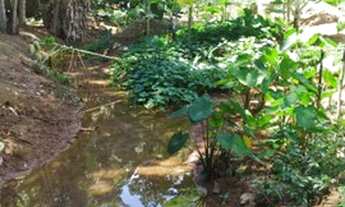 Imagem 5: Sitio em Chapoa Fundão 5mil metros