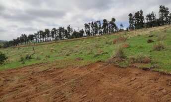 Imagem 2: Lotes com uma vista maravilhosa