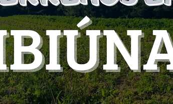 Imagem: Comece a Investir em Terrenos no Interior