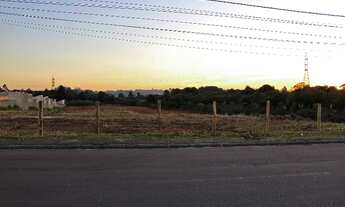 Imagem: QUATRO BARRAS - Terreno Padrão - quatro