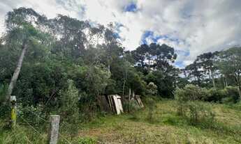 Imagem 2: TERRENO À VENDA EM SÃO JOSÉ DOS PINHAIS, PROXIMO AO PEDAGIO DA BR 277