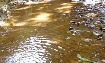 Imagem: Excelente Chácara