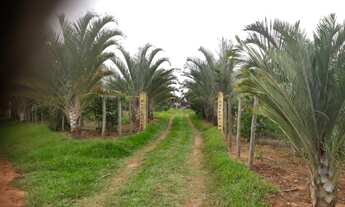 Imagem 4: Vendo chácara recreio