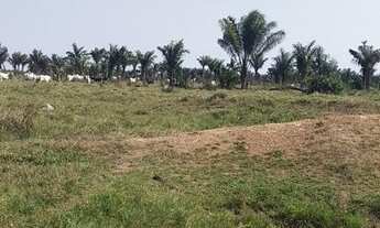 Imagem 3: 180 alqueres de terra