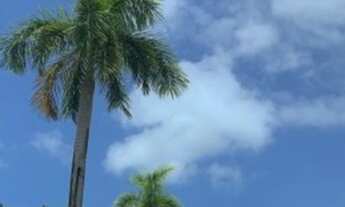 Imagem 6: ABAIXOU!! ALPHAVILLE, Cond Itaparica, INVESTIMENTO, 870m², rua sem saída, local para quem