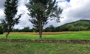 Imagem 2: Área à venda, 13000 m² por R$ 650.000 - Linha Araripe - Nova Petrópolis/RS