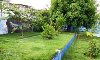 Imagem: Pequena chácara na cidade