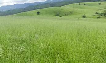 Imagem 6: 10.000m² de terra por apenas 150mil à vista