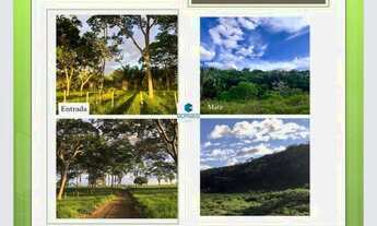 Imagem 6: PIRITIBA - RURAL - Tapiramuta