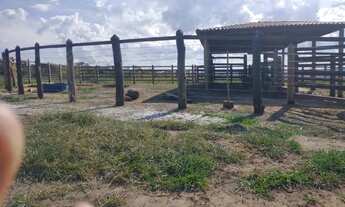 Imagem 5: Fazenda em Morro do Chapeu