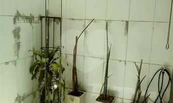 Imagem 6: Ótimo apartamento tipo casa {VP