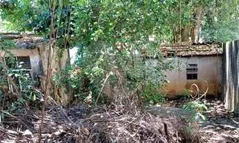 Imagem 7: Terreno bom para construtor Cachambi[VP