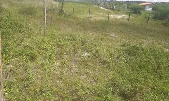 Imagem 3: Vende-se terreno