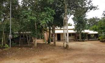 Imagem 3: Fazenda para Venda em Silvanópolis