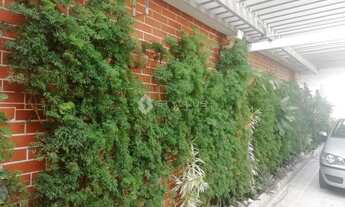 Imagem 3: Madureira Casa com 3 dormitórios