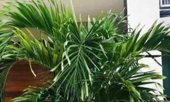 Imagem 5: Casa para venda possui 135 metros quadrados com 3 quartos em SIM - Feira de Santana - Bahi