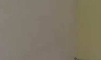 Imagem 5: Aluga-se apartamento Bairro Jomafa