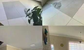 Imagem 7: Vendo Dúplex em Santa Martha