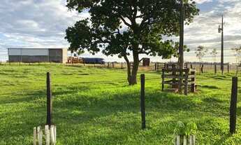 Imagem: Fazenda 180ha entre Amambai e Coronel Sapucaia-MS