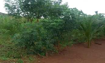 Imagem 2: Vendo uma chacara 30X50