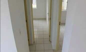 Imagem 4: ALPHA CLASS / ARUANA