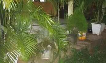 Imagem 6: Casa Casa com 3 dormitórios