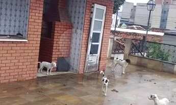 Imagem 5: Excelente casa, única no terreno, duplex