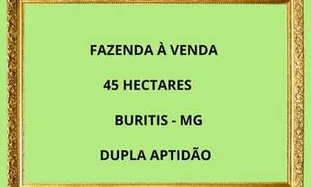 Imagem: Fazenda 45 ha em Buritis-MG Água Abundante