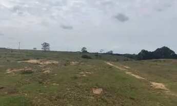 Imagem: Imóvel para venda possui 169400 metros