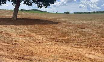 Imagem 2: Fazenda para plantio de soja , 43 alqueires , Jandaia, GO