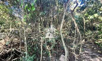 Imagem 5: Lote plano com vista lateral- Jardim Casa Branca