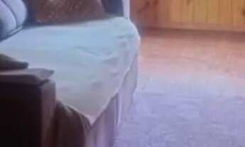 Imagem 7: Oportunidade fora de condomínio