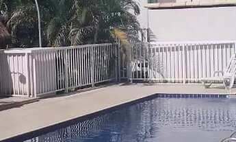 Imagem: ALUGO APTO - PACHEGO, SG 2 QUARTOS COM ÁREA