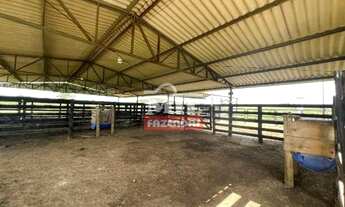 Imagem 4: Chácara 5,12 Alqueire (24,78 hectares) Mairipotaba - Go