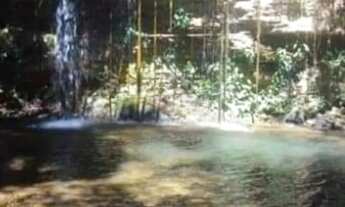 Imagem 2: Fazenda de 61 Alqueires em Palestina de Goiás Dupla Aptidão!