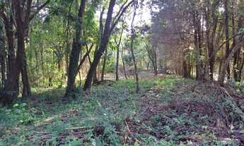 Imagem 6: TERRENO - COUNTRY CLUB - SP