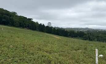 Imagem 6: Lote 500m² com Dupla Vantagem: 36x Sem Juros E Aceita Carro!