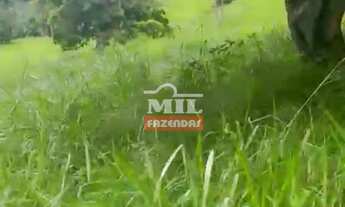 Imagem 3: Chácara 14 alqueires (67,76 HAC) Varjão - Go