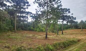 Imagem 3: Piraquara - Area de 20.000m2