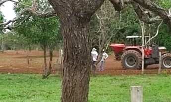 Imagem 5: Fazenda Amorinopolis 7 Alqueires Chácara à Venda, 338000.00 por R$ 1450000.00 AD7874