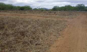 Imagem: Lotes 17X40 na beira do Rio Paraguaçu em