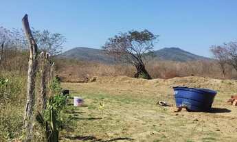 Imagem 5: TERRENO ÓTIMO PRA SÍTIO próximo a Tucunduba Caucaia