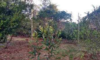 Imagem 5: Terreno na am 240 109x3000