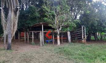 Imagem 7: Chácara à venda, 36000 m² por R$ 425.000,00 - Sao Francisco - São Francisco/SP