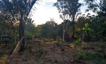 Imagem 3: Terreno na am 240 109x3000